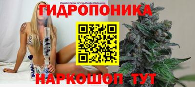 ALPHA PVP Кимры